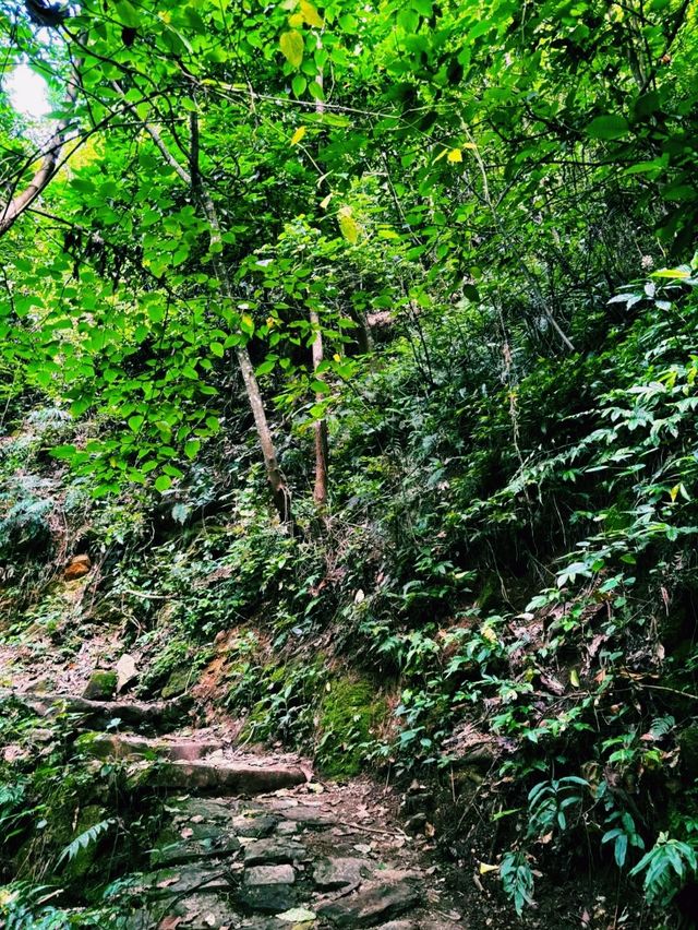 中國雲南騰衝著名景點高黎貢山自然保護區徒步旅行攻略，適合打卡拍照📸