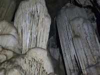 สำรวจถ้ำพุหวาย ตั้งอยู่ในวนอุทยานถ้ำเขาวง