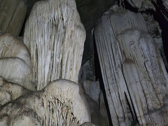 สำรวจถ้ำพุหวาย ตั้งอยู่ในวนอุทยานถ้ำเขาวง