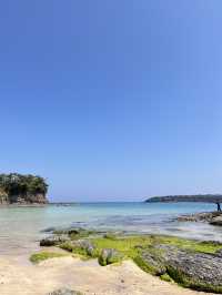 대마도 제일 예쁜 스팟 🌊미우다해변
