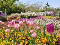 Shanghai Zhongshan Park – Where Century-Old History Meets Urban Oasis