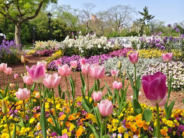 Shanghai Zhongshan Park – Where Century-Old History Meets Urban Oasis