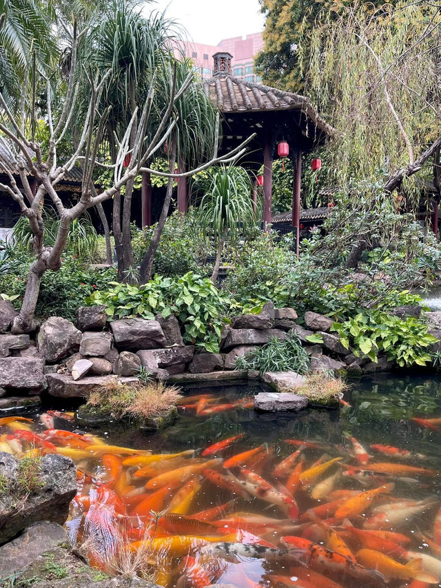 順德清暉園