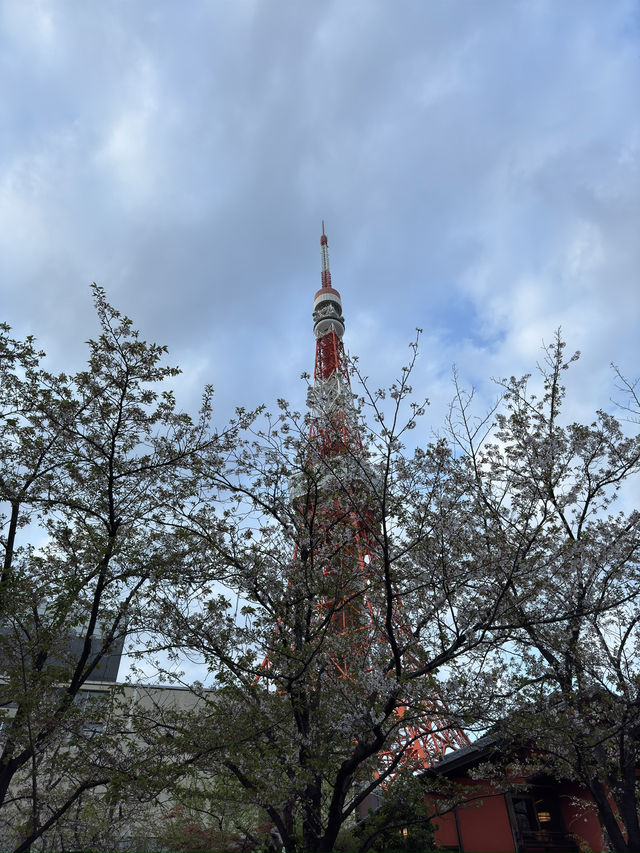 東京｜赤羽橋車站一日遊 🌆