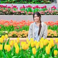 ที่เที่ยวใหม่เมืองระยอง