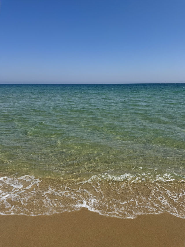강원도 양양에서 만난 푸른 하루🌊