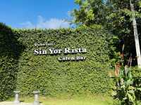 ซินยอริต้า คาเฟ่ & บาร์