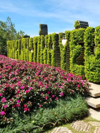 FLORAL PARADISE WORTH EXPLORING