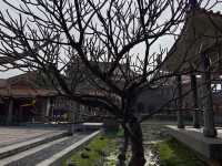 嘉義縣表演藝術中心 Chiayi Performing Arts Center
