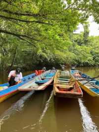 Gunung Mulu National Park