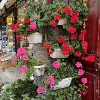 Lijiang: A City Full of Flowers