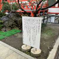 🇯🇵【和歌山県】淡嶋神社！柱をくぐって願いが叶う！？