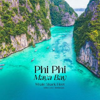 One Day Trip Phi Phi Maya