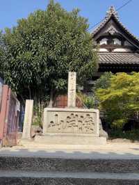 えっ、あのジブリの世界って本当にあるの？🇯🇵✈️🌏 