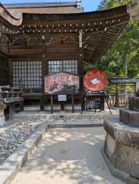 武田神社で心リセット。歴史感じる空気とおみくじ体験！