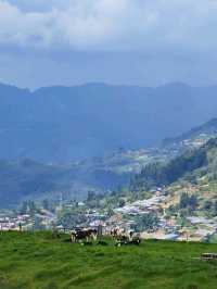 Celebrating earth day in Kundasang