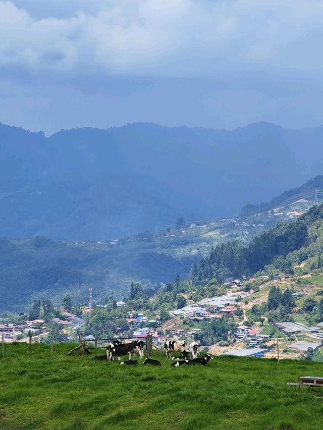 Celebrating earth day in Kundasang