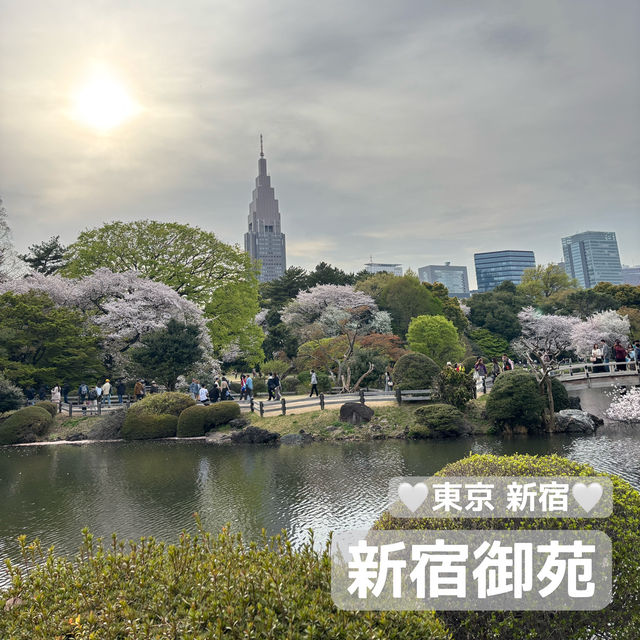 【都会のオアシス】東京 新宿 新宿御苑 季節ごとに異なる鮮やかな景色が楽しめる公園