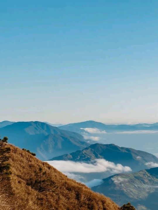 truly mesmerizing, with a remarkable transition from lush grasslands
