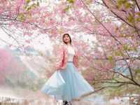 สวนลุงเปา ขุนวาง เชียงใหม่