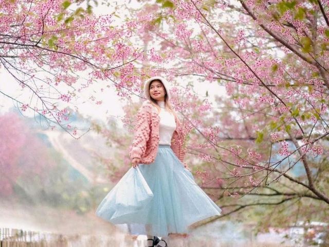สวนลุงเปา ขุนวาง เชียงใหม่