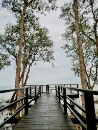 Taman Tanjung Ketapang: Where Mangrove Boardwalks & Monkey Drama Collide🌿🐒