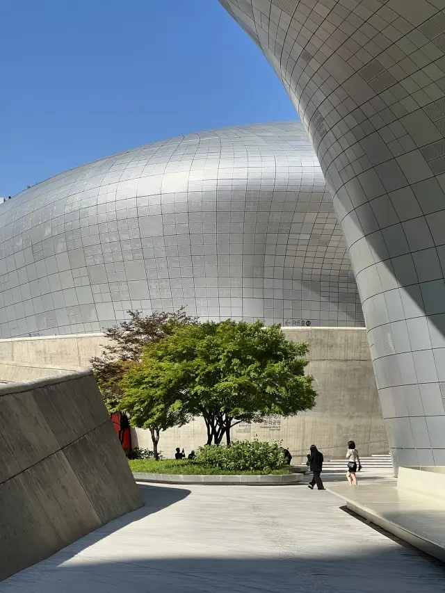 DDP (Dongdaemun Design Plaza)