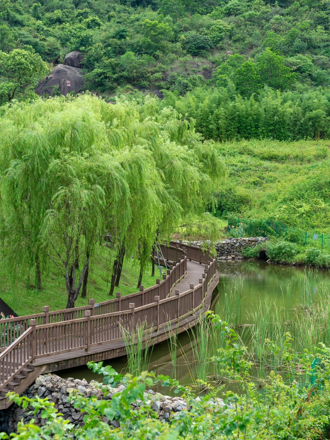 📍Address: Hongqiao Park, Guangming District, Shenzhen

💞Recommended reasons:
Shenzhen's Hongqiao Park in Guangming District is famous for its beautiful natural scenery and open space, providing an ideal place for leisure and entertainment. The park has a quiet environment, suitable for family gatherings, sports and fitness, and getting close to nature. It is a good place to escape from the hustle and bustle of the city.

🗓️Itinerary:
You can start in the morning by going to Hongqiao Park for a morning run or a brisk walk to enjoy the fresh air and charming natural scenery. Then, do some strength training in the park’s fitness area or join in on some fun group sports. At noon, choose to enjoy a picnic on the lawn and share a delicious lunch with family or friends. In the afternoon, you can participate in the park's cultural activities, or take a walk by the lake to feel the tranquility of nature, and finally enjoy the beautiful scenery at sunset.

🏖️Environment/Facilities:
The park is equipped with well-equipped trails, fitness equipment, children's play areas and leisure pavilions, suitable for visitors of all ages. The abundant water areas and green spaces provide tourists with comfortable resting spaces and sightseeing spots, allowing them to fully experience the charm of nature.
#ShenzhenHongqiaoPark #FamilyActivities #MorningRun #OutdoorFitness #Picnic #Parent-ChildTime #NaturalBeauty #GreenEnvironment #Relaxation #CulturalActivities
#ShenzhenItinerary