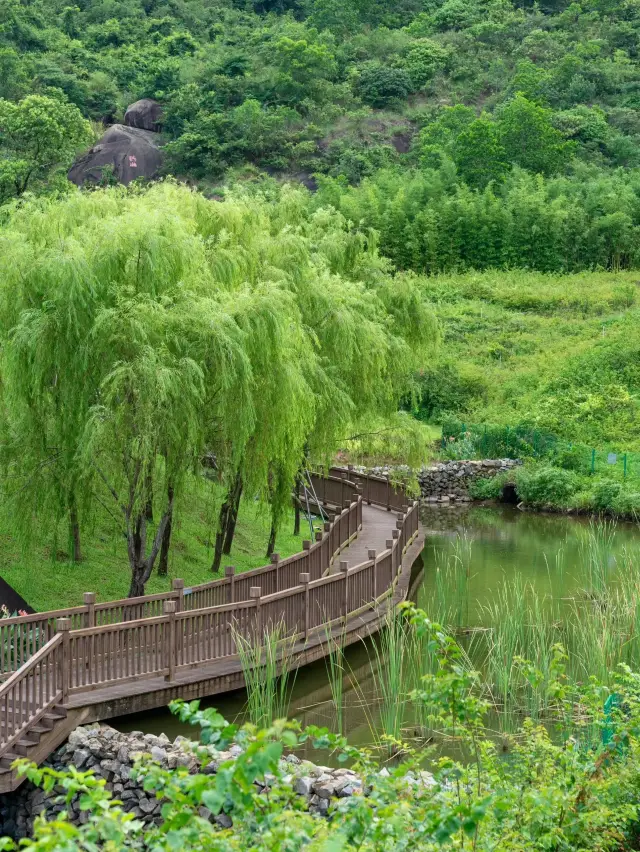 遠離城市喧嘩放鬆❤️🔥深圳行程攻略🥰
