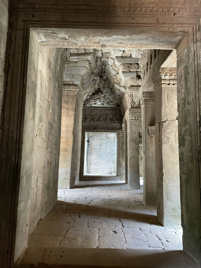 🇰🇭 Ta Prohm: The Angelina Jolie Temple