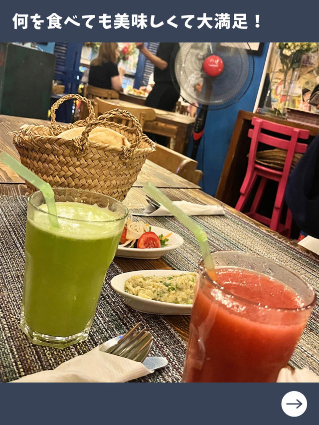【エジプト女子旅】可愛い猫も遊びに来る！人気のシーフード料理専門店！