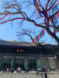 🇰🇷Jogyesa Temple in Seoul🇰🇷