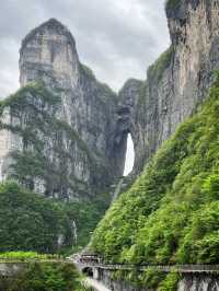Avatar Mountains