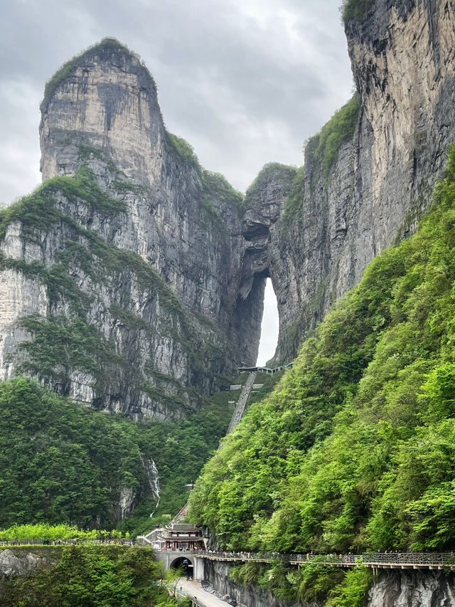 Avatar Mountains