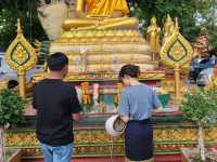 Laos Temple Beauty