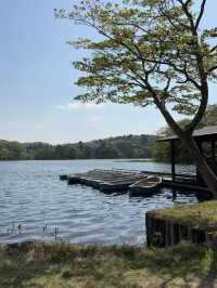 南湖公園でのんびりお散歩】湖に浮かぶボートが絵になる風景