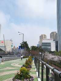 “Skylines & Sakura: Spring Reflections at Lotte World Tower”