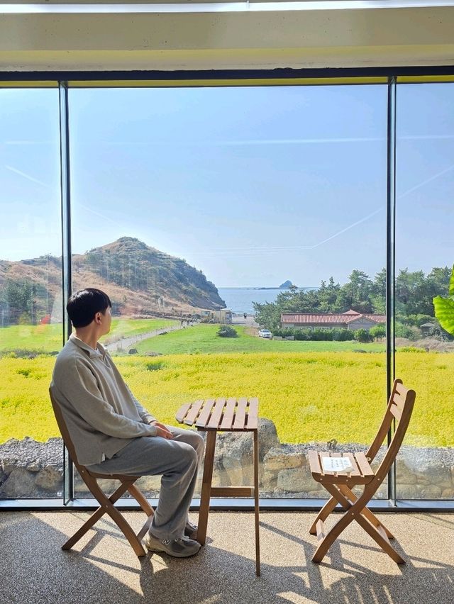 노란 물결 속에 피어난 감성 카페🌼