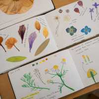 สร้างแรงบันดาลใจผ่าน Botanical Art 🌿✨