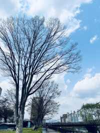 盛岡木伏綠地