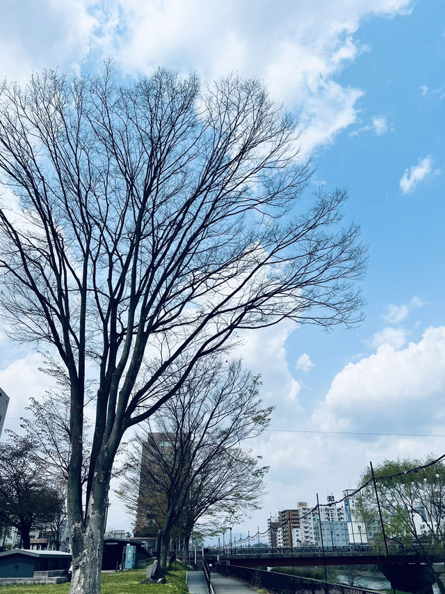 盛岡木伏綠地