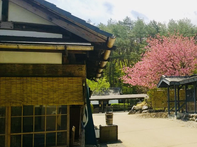 Edo Wonderland, Nikko – A Springtime Time Travel