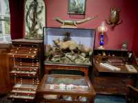 Booth Museum of Natural History