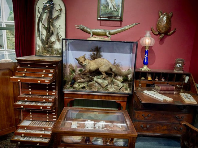 Booth Museum of Natural History