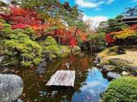 Niigata Japan
