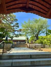 A Peaceful Spring Day at Gokokuji Temple