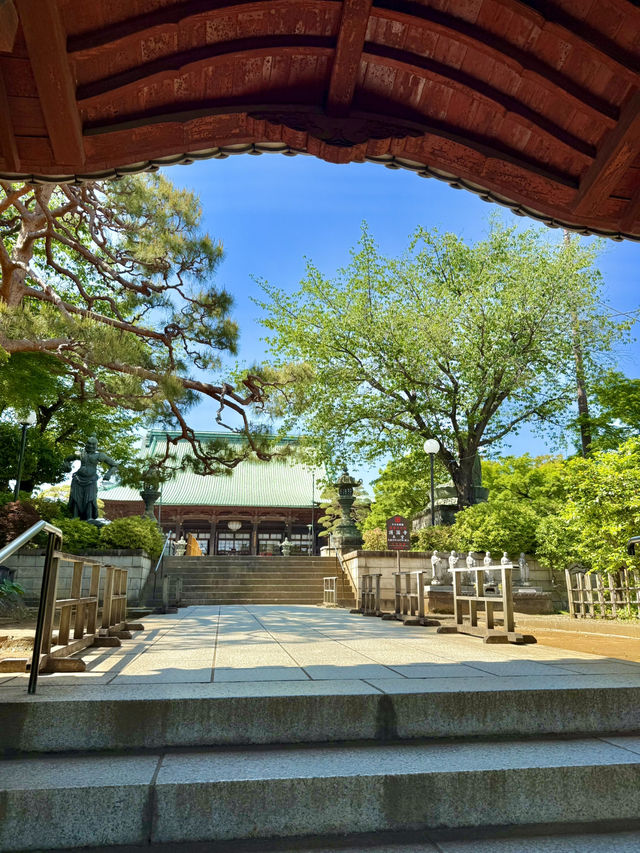 A Peaceful Spring Day at Gokokuji Temple