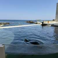 海と水槽が一体化？！温泉地から近い、城崎マリンワールド