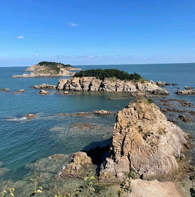 三連島綠地開放共享區