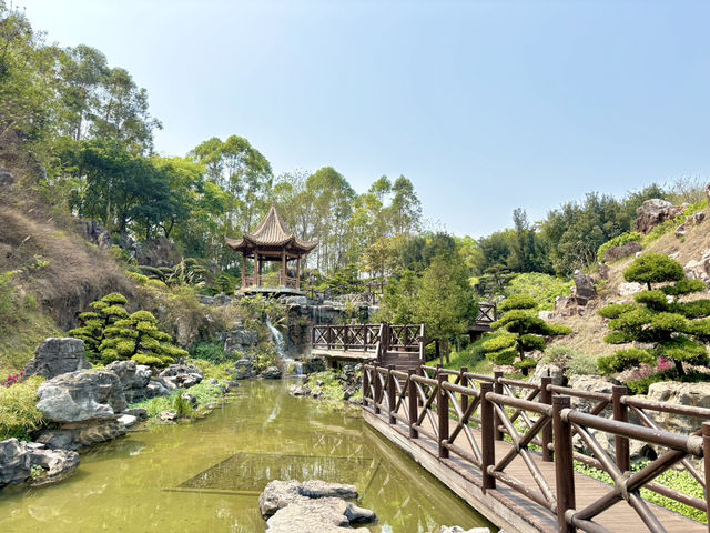  **🌿【南寧園博園必遊！羅漢松園：山水畫境中的禪意秘境】🌿**  